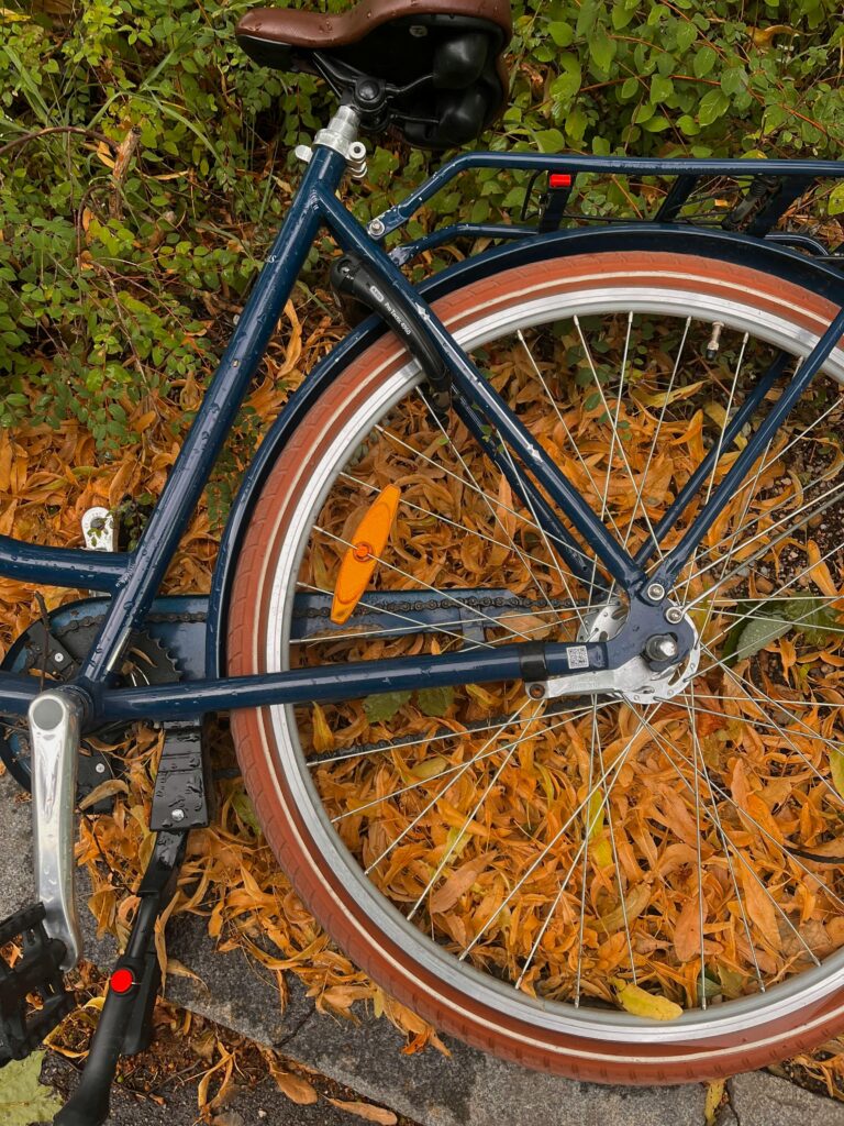 liegendes Fahrrad im Herbstlaub